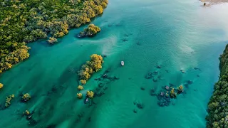 Weekend Dive, Spear & Fish - Broome