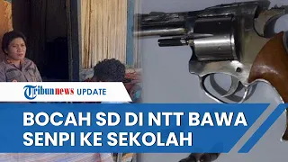 GEGER! Bocah SD di NTT Bawa Senpi Revolver ke Sekolah, Polisi Langsung Bergerak