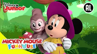 🌴Terug naar het Betoverde Regenwoud! | Mickey Mouse Funhouse | Disney Junior BE