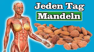 DAS passiert mit deinem Körper, wenn du 4 Mandeln am Tag isst 🥜