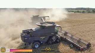 2 FENDT IDEAL 10T Mähdrescher mit Lenkrad 🤔 Schwarze Mähdrescher im Ernteeinsatz Getreide Dreschen