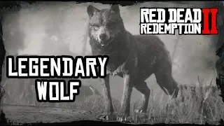 Red Dead Redemption 2 Legendary Wolf Location and Hunting. Легендарный волк