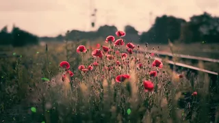 신비로 가득한 우주음악, 수면음악 🎵 8시간 몽환적인 앰비언트 뮤직, 우주 다큐멘터리 음악