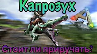 Капрозух ARK MOBILE | Стоит ли приручать? | Капрозух Арк Мобайл | Арк Мобайл