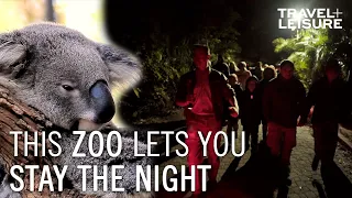 You Can SPEND THE NIGHT at the Tarongo Zoo in Sydney, Australia | Travel + Leisure