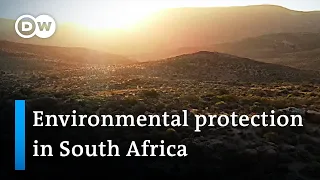 South Africa: Incentivizing conservation | Global Ideas