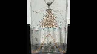 Probability Machine - Galton Board Plinko in Slow Motion with Bell Curve Distribution #statistics