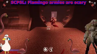 SCPSL: Flamingo armies are scary