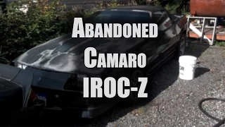 Abandoned 1985 IROC-Z