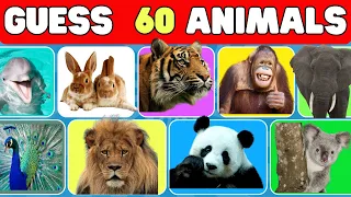 Guess 60 Animals In 5 Second ?  Quiz World - Level Easy Medium Hard - Test your knowledge quiz