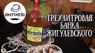 ТРЕХЛИТРОВАЯ БАНКА ЖИГУЛЕВСКОГО (beervaria)