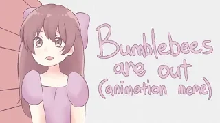 Bumblebees are out | animation meme