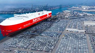 10 Largest RO RO Ships in the World