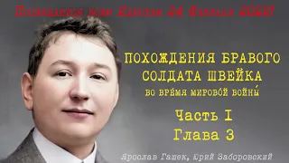 Похождения Бравого Солдата Швейка Часть I, Главы 3, 5— Ярослав Гашек — Читает Юрий Заборовский