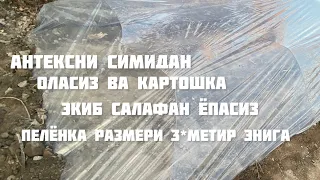 Эрта пишар картошка экиш сирлари пелёнкага экилади 25-январьда Шунда пишади 5-майда 🥔🥔