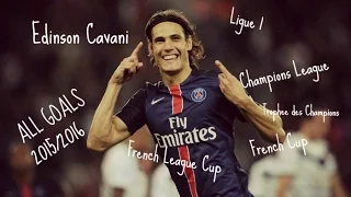 Edinson Cavani ● All 24 Goals ● 2015/2016 ● Ligue 1 ● All Cups