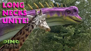 Long Necks Unite! | Dino Dan | Best of Dino Kids