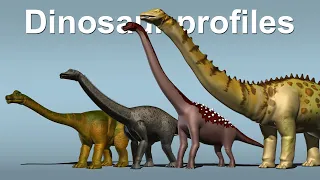 Dinosaur profiles 13