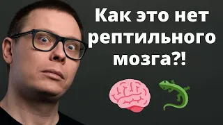 Рептильного мозга НЕТ, Канеман ошибся, а лимбическая система не управляет тобой