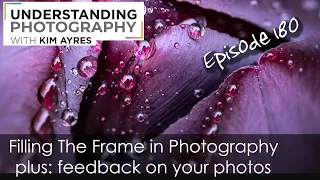 Filling The Frame in Photography - Episode 180 of Understanding Photography with Kim Ayres