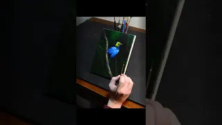 Painting an Acrylic Paradise Tanager | Bird Painting #shorts