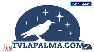 Ultima hora! directo 2 de diciembre 2021 Actualización situación erupción volcánica isla La Palma