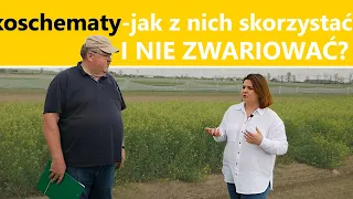 Nowa warunkowość - te wymogi MUSISZ spełnić, żeby dostać DOPŁATY - prof. Piechota