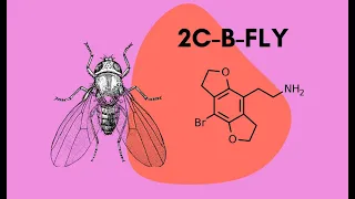 2C-B-FLY - La molécule préférée d'Ann Shulgin