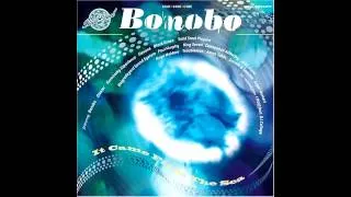 Bonobo - particular songs from Solid Steel