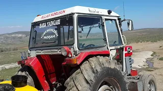 Massey ferguson 185 ingiliz