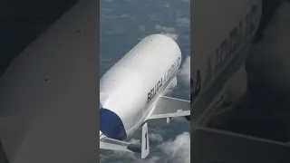 Airbus Beluga Edit 😈🎬 #airbusbeluga #shorts