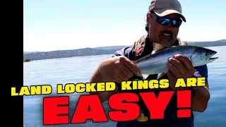 How To Catch Landlocked King Salmon (Folsom Lake) #fishing #trout #trolling #troutfishing #salmon