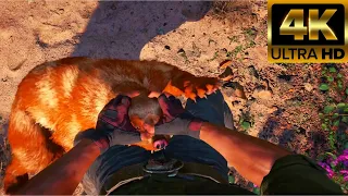 Far Cry New Dawn All Animals Attack & Bite Animations