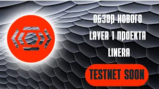 ОБЗОР НОВОГО LAYER 1 ПРОЕКТА LINERA.