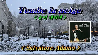 Tombe la neige (눈이 내리네) 💜 Adamo (아다모)  HD With Lyrics, 한글자막  🌿🌴🌻🍒🍓