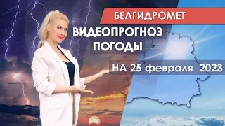 Видеопрогноз погоды по областным центрам Беларуси на 25 февраля 2023 года