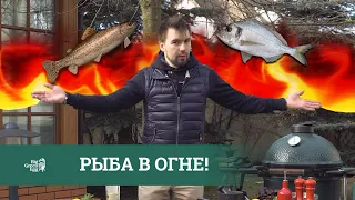 РЫБА В ОГНЕ! Как правильно приготовить рыбу на гриле Big Green Egg?