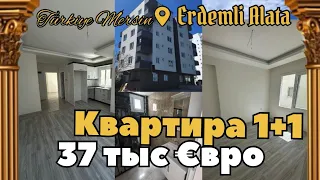 🇹🇷Мерсин Эрдемли АЛАТА Квартира 1+1