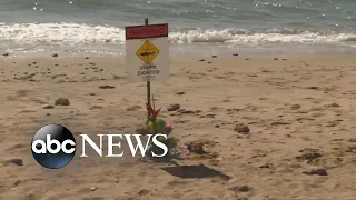 Swimmer dies from shark attack