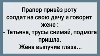 Как Прапор Жене На Дачу Роту Солдат Привез! Сборник Свежих Анекдотов! Юмор!