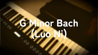 G Minor Bach - Luo Ni