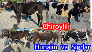 AVVAL CHORVA BOZORI. Sigrlar va chiroyli hunajinlar narhlari. 19,08,1023. 2- qsim