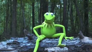 Kermit the Frog Takes the ALS Ice Bucket Challenge | The Muppets