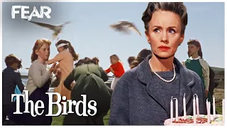 Seagulls Attack | The Birds (1963)