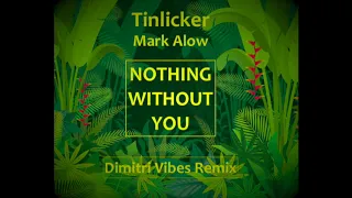 Nothing Without You - Tinlicker - Tropical House Remix by Dimitri Vibes