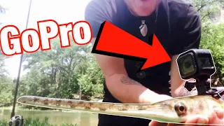 I Strapped a GoPro On a Gar