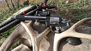 Rattling in a Super Old Buck and taking him with a 44MAG handgun