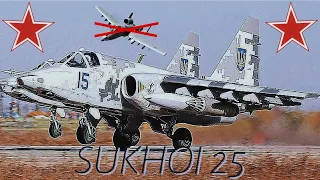 Sukhoi 25 edit