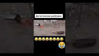 Дагестанские разборки.😂😂🤣 Смотреть всем 😂