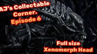 AJ’s Collectable Corner. Episode 7.  Full size Xenomorph Head.  From Aliens !